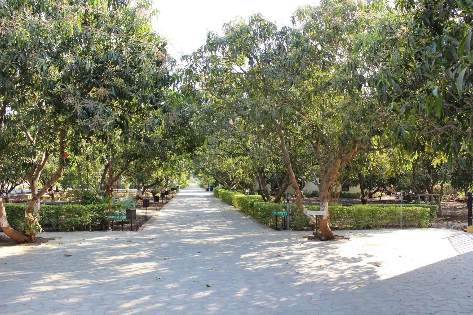 Gir Jungle Lodge Sasan Gir Dış mekan fotoğraf