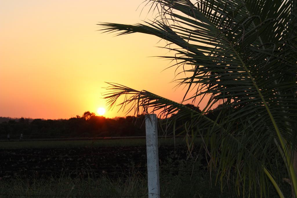 Gir Jungle Lodge Sasan Gir Dış mekan fotoğraf